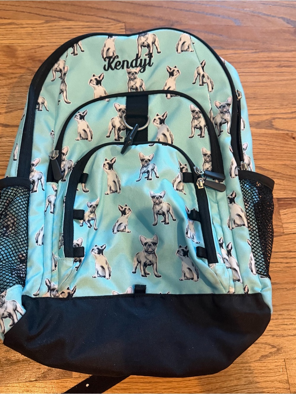 PB Pottery Barn Teen Backpack French Bulldog Dogs Large Gear-Up Laptop Sleeve